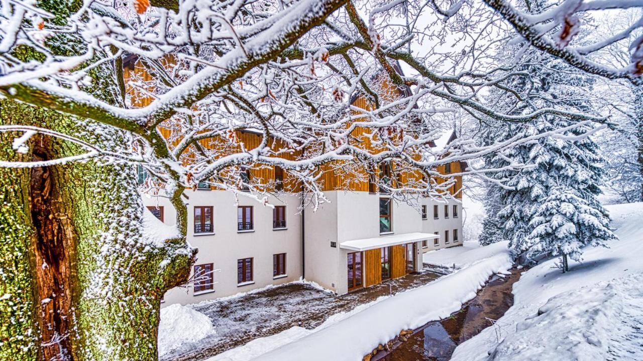 Apartament D19 Z Basenem, Sauna, Jacuzzi Green Park Resort - 5D Apartments Szklarska Poręba Buitenkant foto